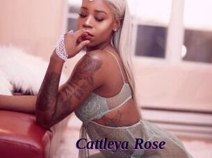 Cattleya_Rose