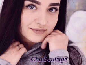 ChatSauvage