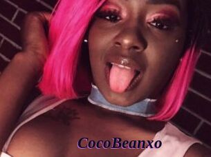 CocoBeanxo