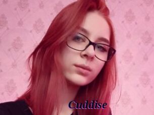 Cuddise