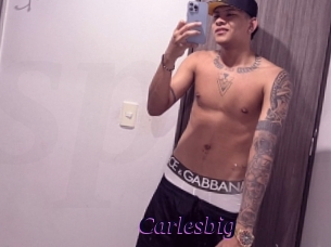carlesbig Spezial Sexcam