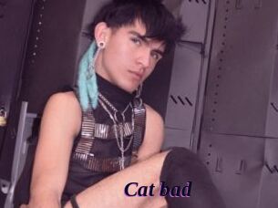 Cat_bad