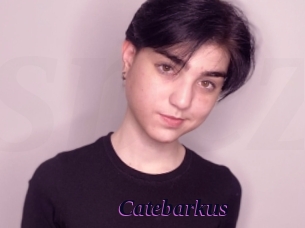 Catebarkus