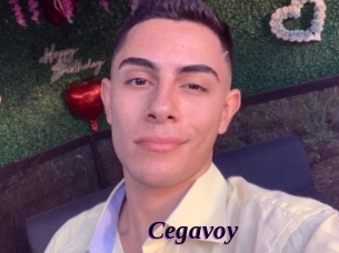 Cegavoy