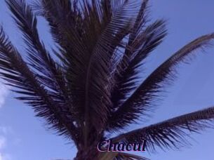 Chacul