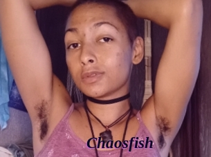 chaosfish Spezial Sexcam