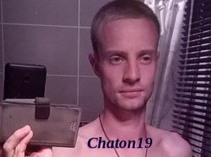 Chaton19