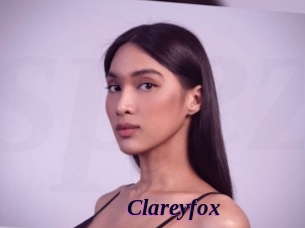 clareyfox Spezial Sexcam