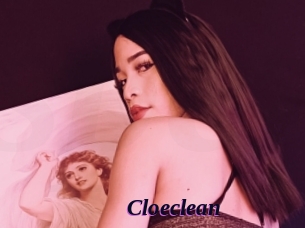 Cloeclean