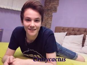 Crazycactus