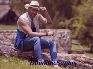 DomiinicSantos Spezial Sexcam