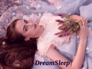 DreamSleep