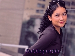 Dahliagarrido
