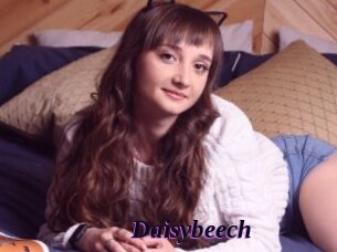 Daisybeech