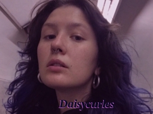 Daisycurles