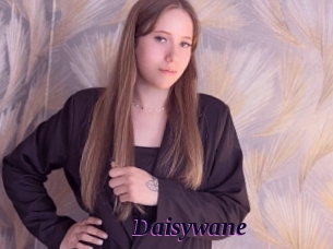 Daisywane