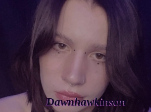 Dawnhawkinson