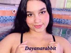 Dayanarabbit