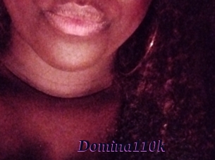 Domina110k