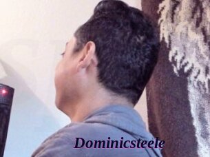 Dominicsteele