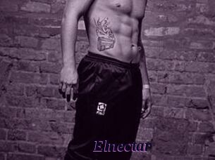 Elnectar