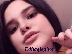 editagleghorn Spezial Sexcam