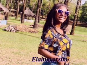 Elainecarsim
