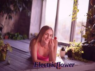 Electricflower
