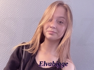 Elvabigge