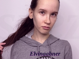 Elvinaabner