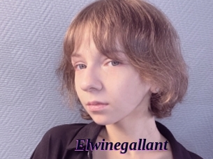 Elwinegallant