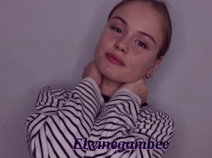 Elwinegambee