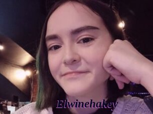 Elwinehakey