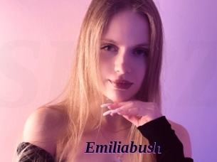 Emiliabush