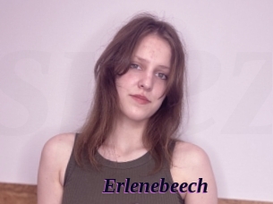 Erlenebeech