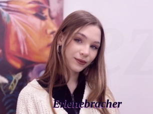 Erlenebracher