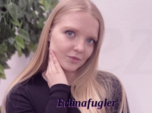 Erlinafugler