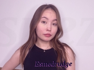 Esmedrudge