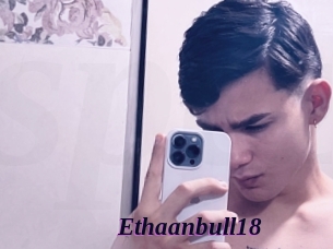 Ethaanbull18