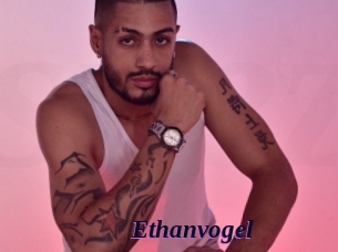 ethanvogel Spezial Sexcam