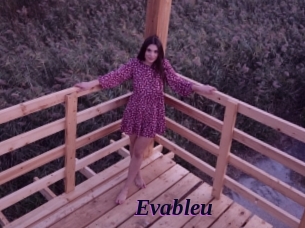 evableu Spezial Sexcam