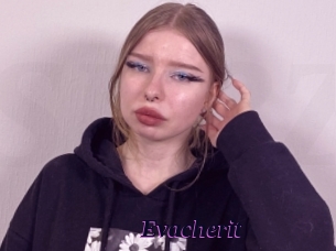 Evacherit