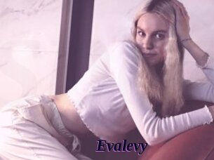 Evalevy