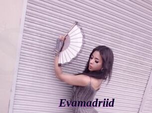 Evamadriid