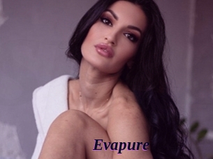 Evapure