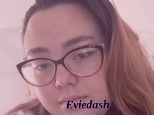 Eviedash