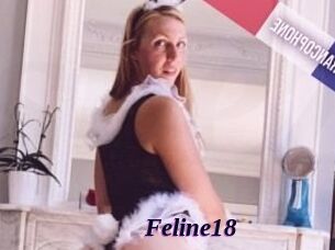 Feline18