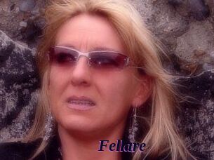 Fellare