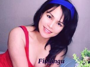Findingu