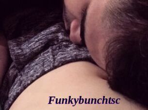 Funkybunchtsc
